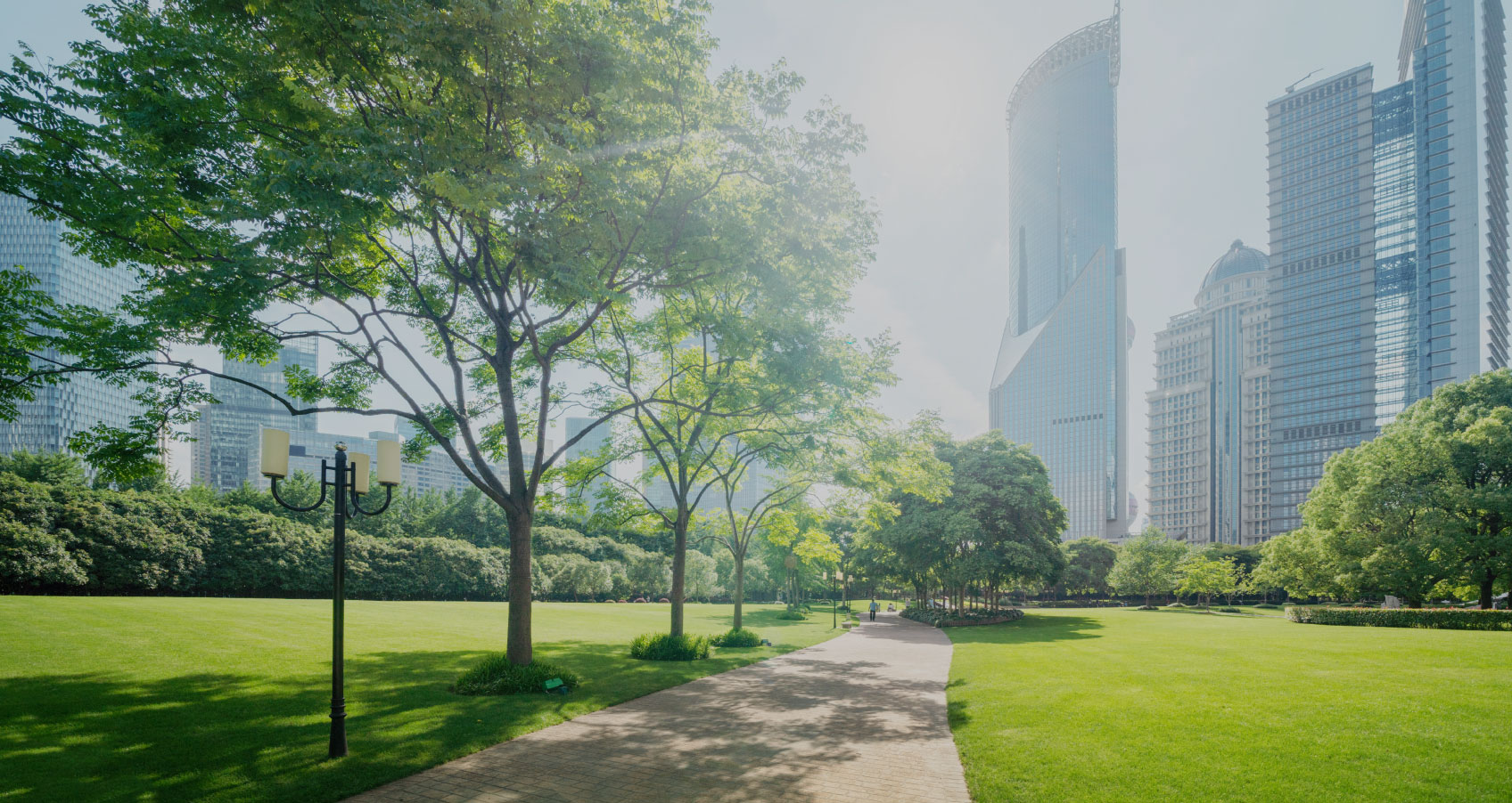 サスティナブルな風景の写真