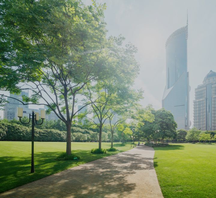 サスティナブルな風景の写真